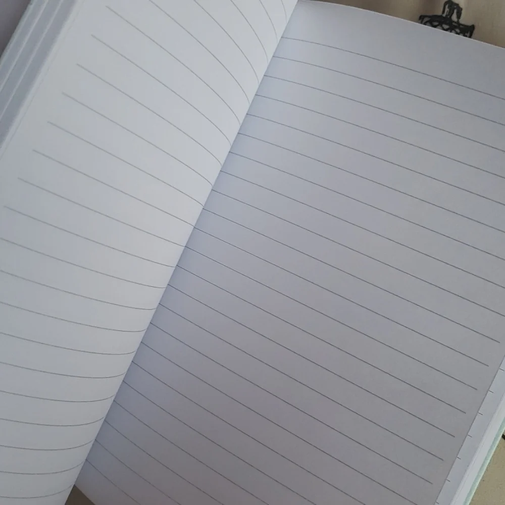 𝅺dayna Lee journal/notebook New